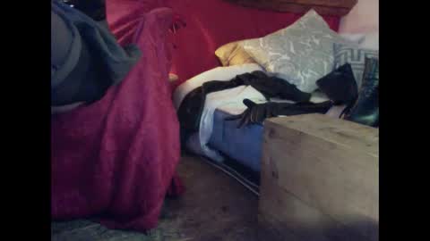 alexischat online show from September 25, 4:19 am