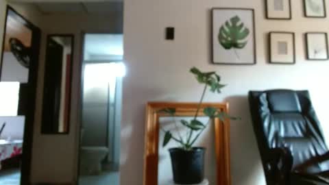 STEPHAN  online show from December 20, 3:00 pm