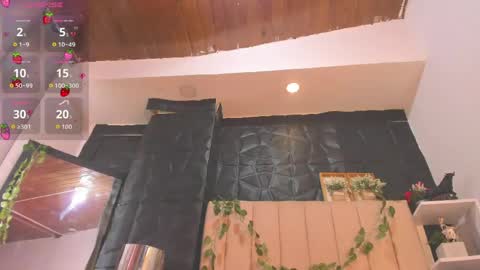 amapola_hs online show from April 25, 2:14 pm