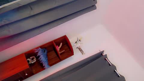 Goddess Monica online show from February 9, 9:26 am