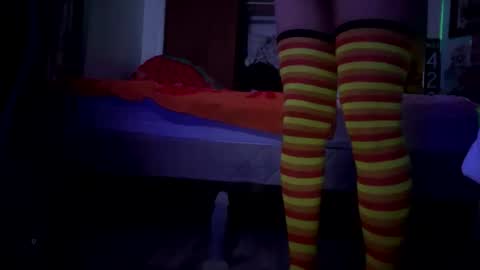 bathingcat online show from March 1, 7:36 am