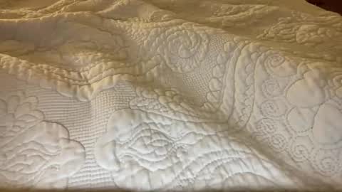 brittany_simpson online show from November 10, 4:46 am