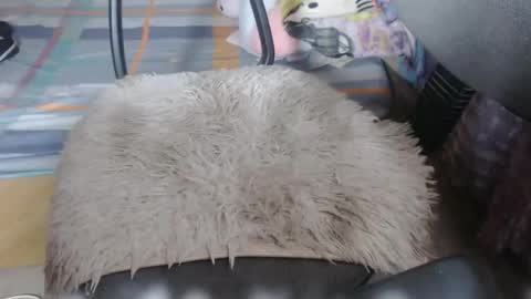 chescahotxxxl online show from January 6, 12:36 am