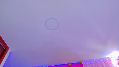 juli   Instagram july rv17 - Twitter juli rv17     online show from December 21, 1:39 pm