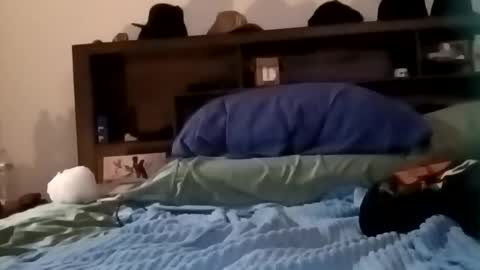 Kasey Xdresser online show from February 17, 6:04 pm