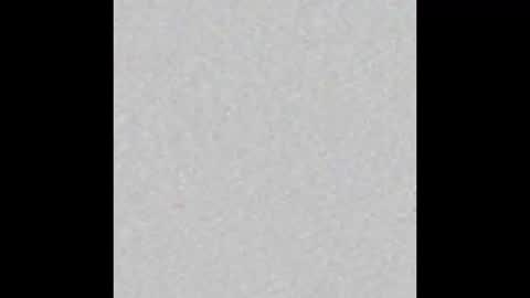 danni_lovescocks online show from November 3, 11:15 pm