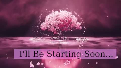 Daphne Sophia Vega online show from April 21, 9:05 am