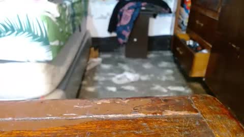 dreamreal online show from March 18, 10:36 am