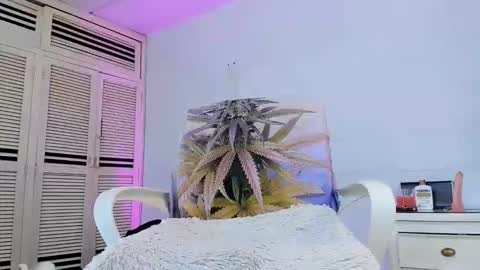 drippyorlove online show from March 17, 7:05 pm