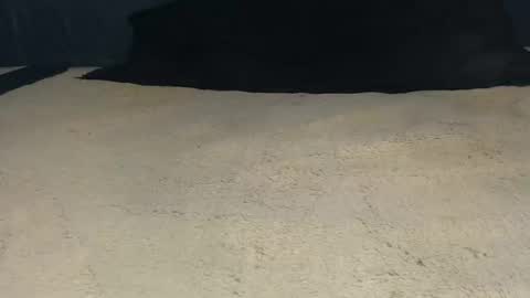 elgsslt online show from April 21, 11:06 am