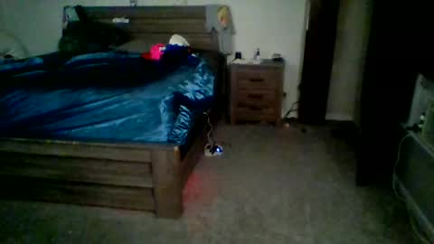 shybutcurious online show from August 3, 2:33 am