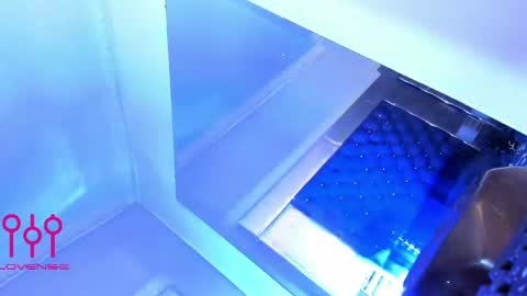 evanllelyne online show from April 23, 12:29 pm