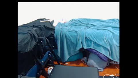 Snapshot of feralasf chatting on January 4, 9:32 am FE fee online show from January 4, 9:32 am