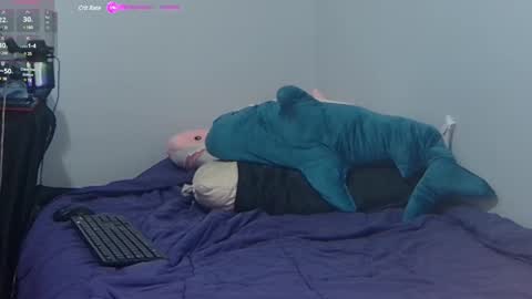 Snapshot of feralasf chatting on February 3, 11:47 pm FE fee online show from February 3, 11:47 pm