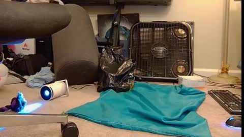 Snapshot of feralasf chatting on October 6, 6:02 am FE fee online show from October 6, 6:02 am