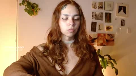 Alaska online show from November 23, 11:40 pm