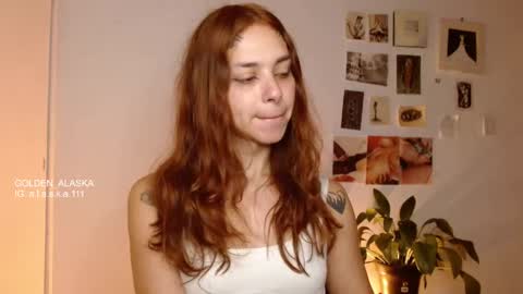 Alaska online show from November 26, 10:50 am