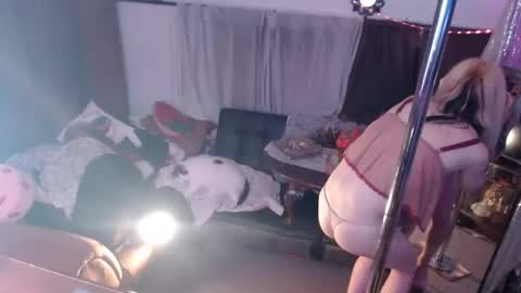 halovalentine online show from April 27, 2:54 am