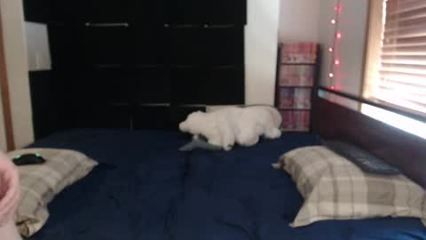 Ivy Parker online show from March 29, 9:04 pm