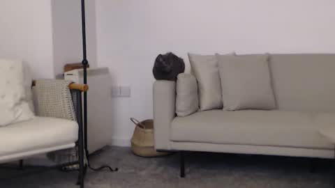 JasmineParkerX online show from March 7, 8:15 pm