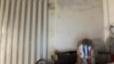 Hi i am Luna i am mixed race Filipina Aussie youve ever wanted to meet online show from November 12, 11:47 pm