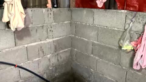 Tinaj online show from February 20, 6:19 am