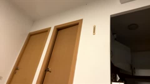 memolesta13 online show from April 25, 9:46 am