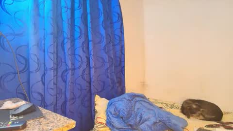 LU online show from December 16, 3:22 am