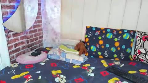 pamelaa Viscontty online show from April 24, 2:36 am