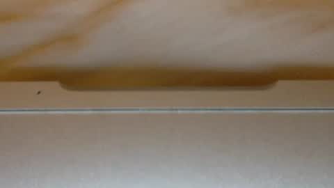 rimalova online show from November 14, 8:39 pm