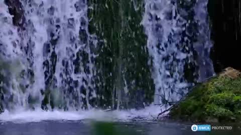 Seala online show from April 20, 10:17 am