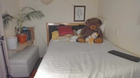 SofiTrans21 online show from December 15, 12:50 am