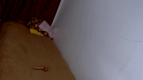 Snapshot of stonehard_sophia chatting on December 30, 8:47 pm Cute Sophia online show from December 30, 8:47 pm