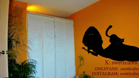 swettcabol online show from April 23, 8:44 pm