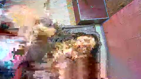 Babi Karsh online show from March 1, 12:44 pm