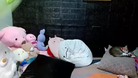 SHENA  online show from April 21, 1:42 am