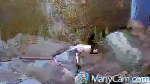 Chin-chin online show from December 21, 10:48 pm