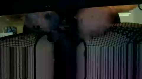 patricia online show from January 14, 2:43 pm