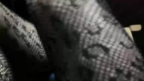 patricia online show from September 22, 1:00 am