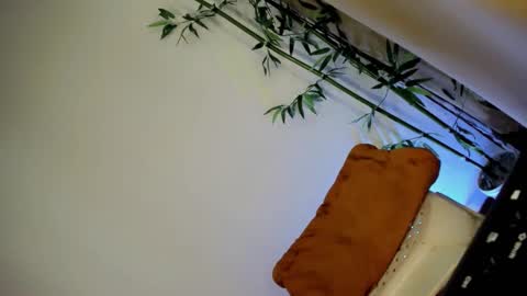 ursashafucker69 online show from December 3, 10:45 am
