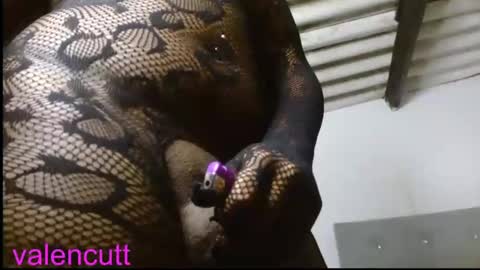 valencutt online show from November 22, 8:16 am