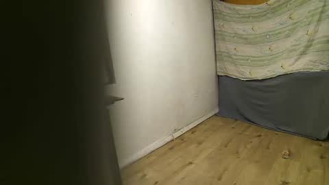 vpetkah online show from November 4, 6:01 am