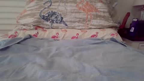 vwjim26 online show from February 23, 3:26 pm