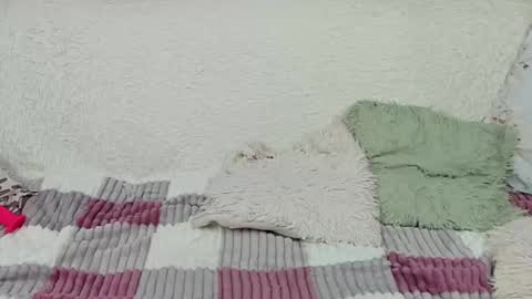 yourkriss_new1 online show from November 6, 6:52 pm