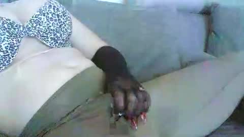 Roy online show from November 5, 8:09 pm