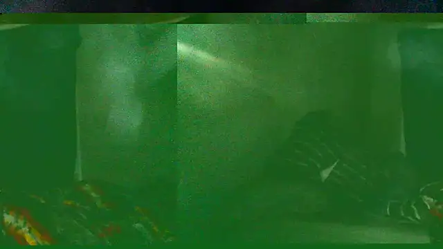 StaciGoodman online show from March 2, 8:38 am