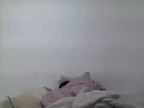  bahya online show from September 13, 12:27 am