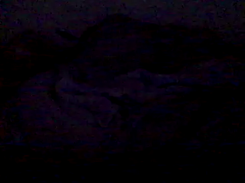  bahya online show from September 14, 12:38 am