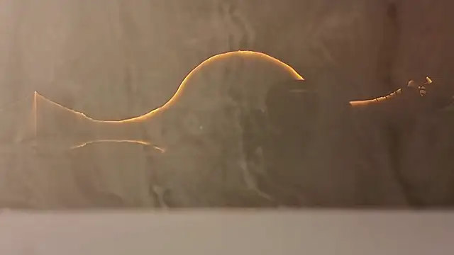 samy tp online show from December 5, 7:20 pm