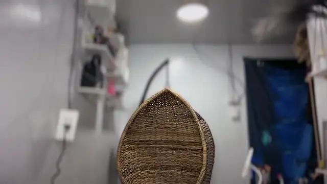 Local Hoelyx online show from March 21, 3:39 pm